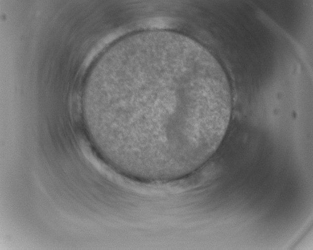 X0000051890012200507081950