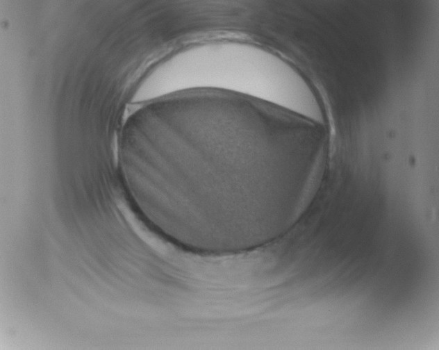 X0000051890013200507081950