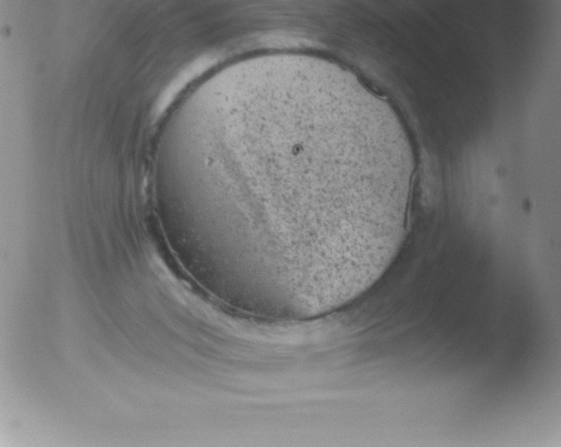 X0000051890015200507081950