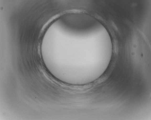 X0000051890016200507081950