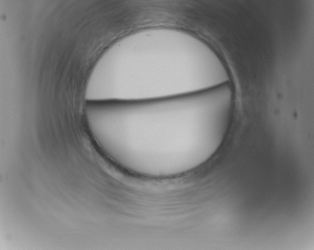 X0000051890017200507081950