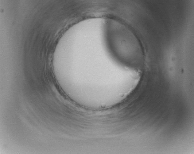 X0000051890018200507081950