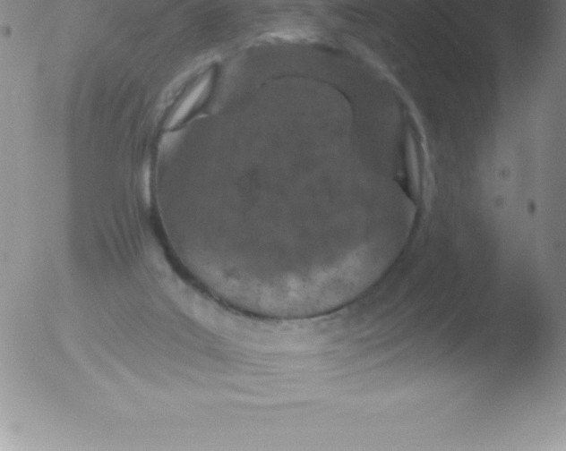 X0000051890019200507081950