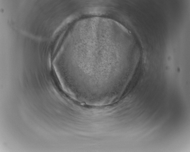 X0000051890020200507081950