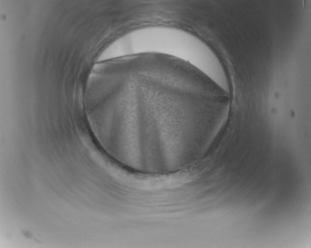 X0000051890021200507081950