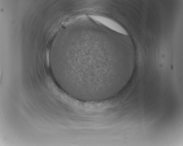 X0000051890022200507081950