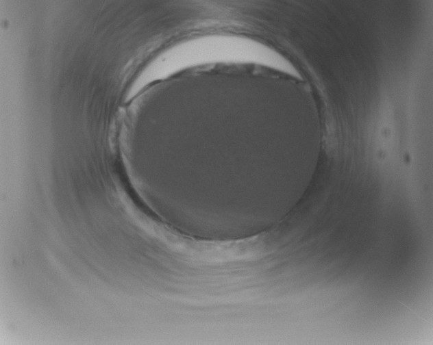 X0000051890023200507081950