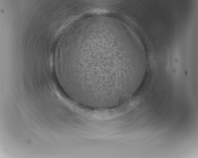 X0000051890024200507081950