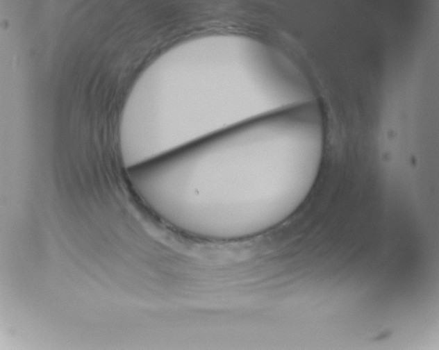 X0000051890025200507081950