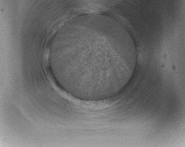 X0000051890026200507081950