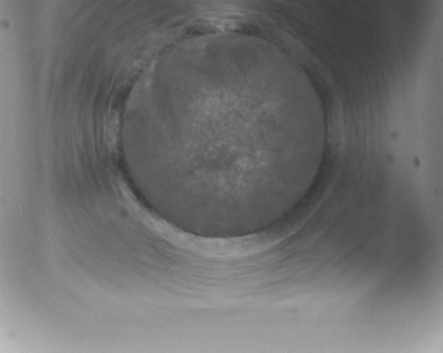 X0000051890030200507081950