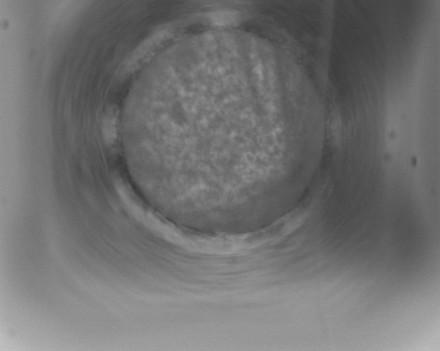 X0000051890032200507081950