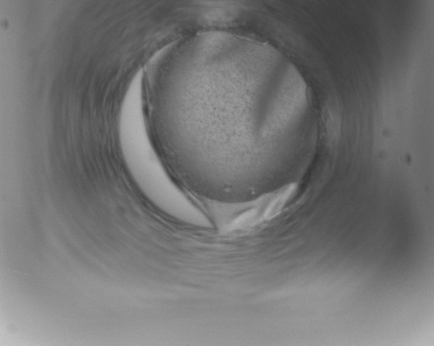 X0000051890033200507081950