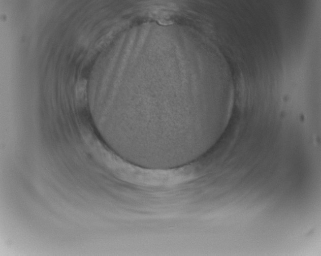 X0000051890034200507081950