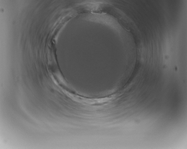 X0000051890035200507081950