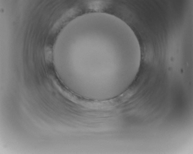 X0000051890036200507081950