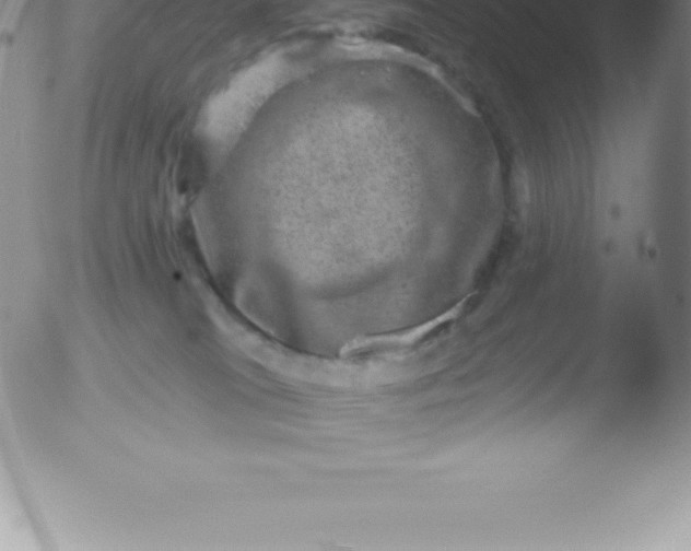 X0000051890037200507081950