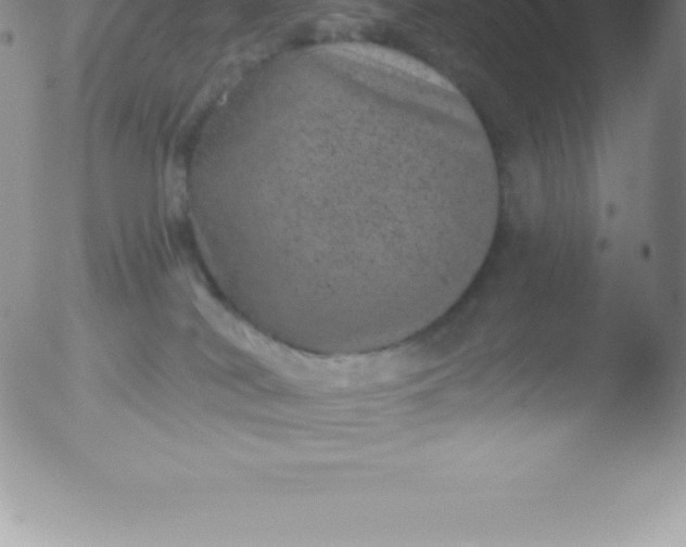 X0000051890038200507081950