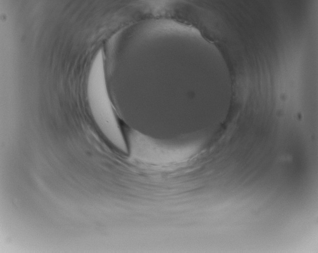 X0000051890039200507081950