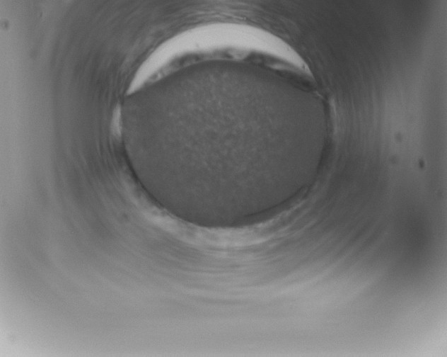 X0000051890041200507081950