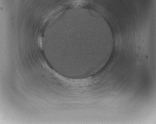 X0000051890042200507081950