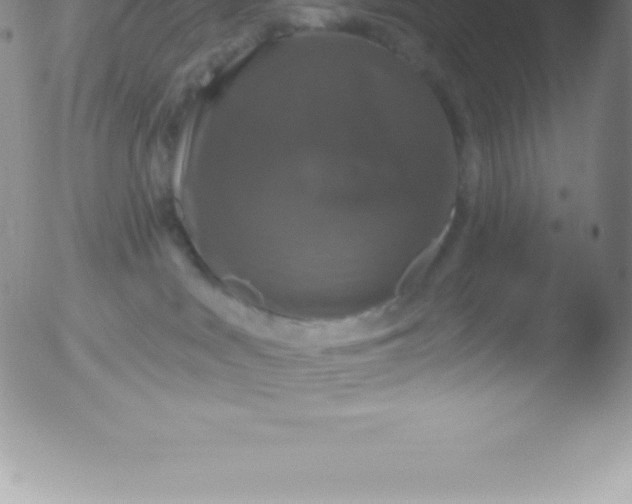 X0000051890043200507081950