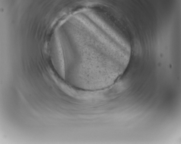 X0000051890044200507081950