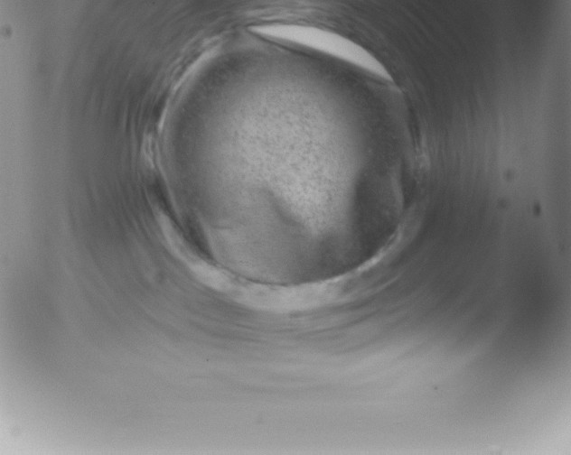 X0000051890045200507081950