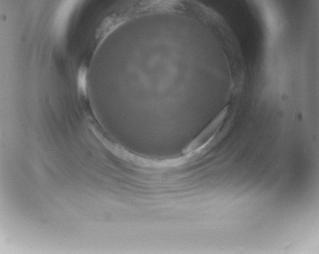 X0000051890047200507081950