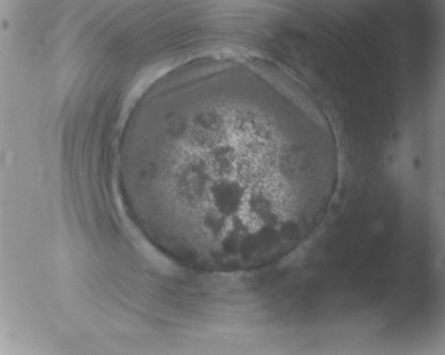 X0000051890049200507081949