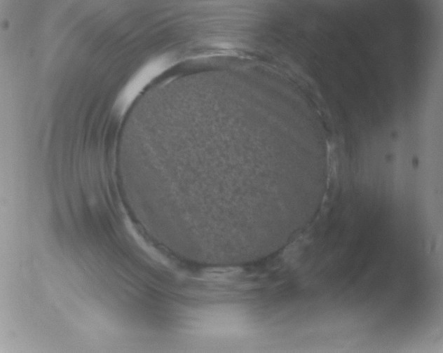 X0000051890051200507081949