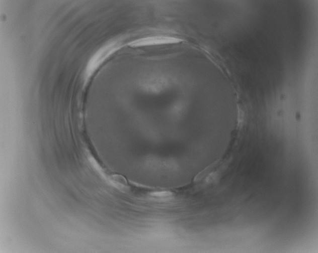 X0000051890053200507081949