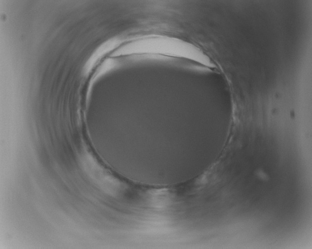 X0000051890054200507081949