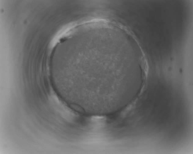 X0000051890055200507081949