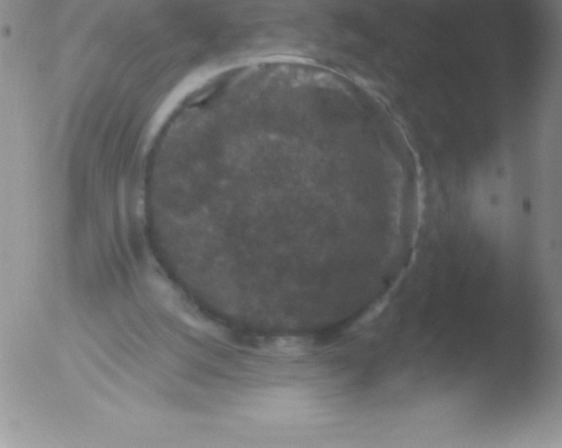 X0000051890056200507081949