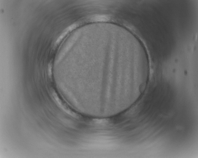 X0000051890057200507081949