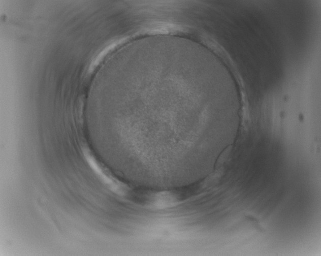 X0000051890058200507081949