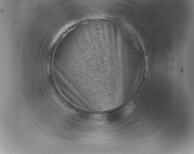 X0000051890060200507081949