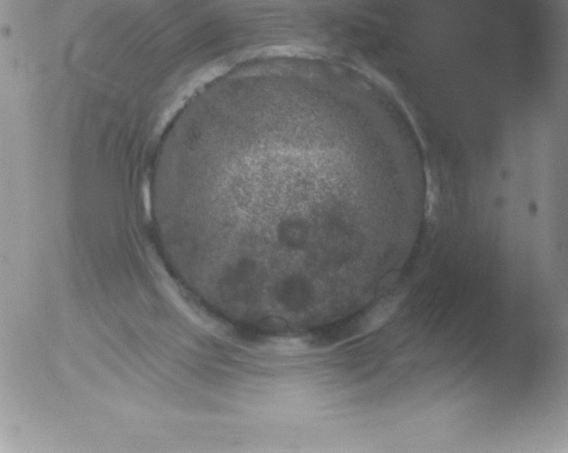 X0000051890061200507081949