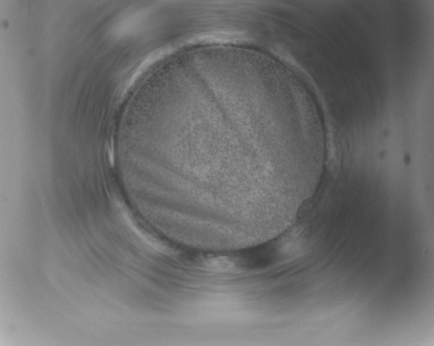 X0000051890062200507081949