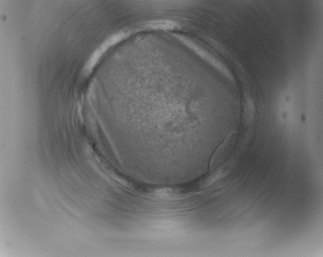 X0000051890064200507081949