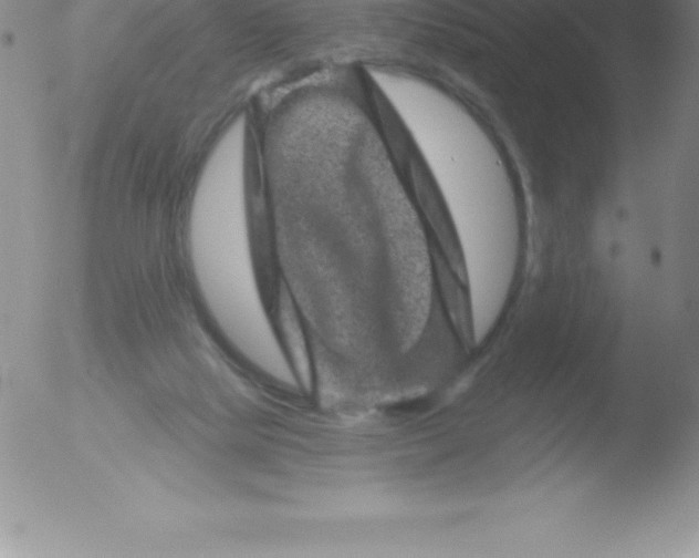 X0000051890065200507081949