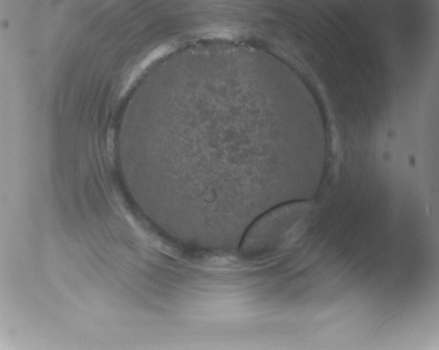 X0000051890066200507081949