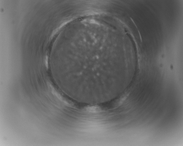 X0000051890067200507081949