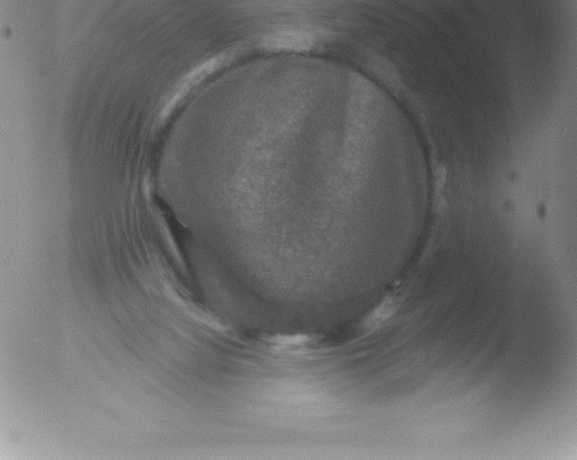 X0000051890068200507081949