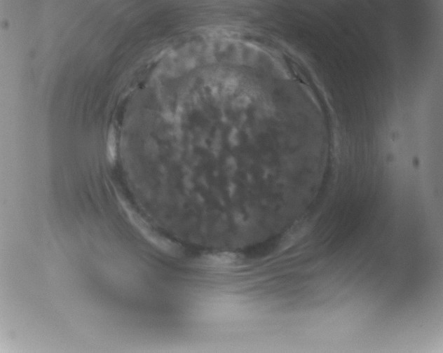 X0000051890069200507081949