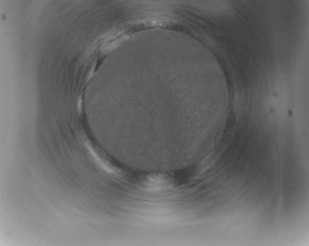 X0000051890070200507081949