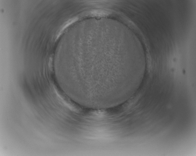 X0000051890071200507081949