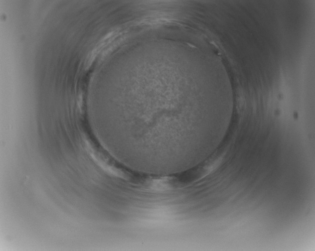 X0000051890072200507081949