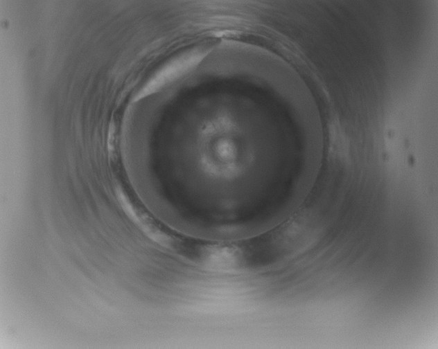 X0000051890073200507081949